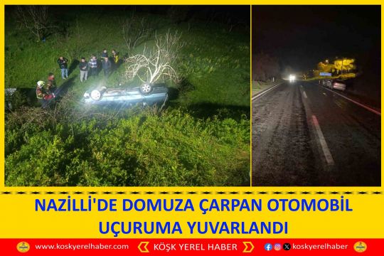 NAZİLLİ'DE DOMUZA ÇARPAN OTOMOBİL UÇURUMA YUVARLANDI