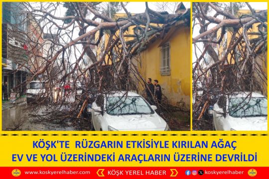 KÖŞK'TE  RÜZGARIN ETKİSİYLE KIRILAN AĞAÇ EV VE YOL ÜZERİNDEKİ ARAÇLARIN ÜZERİNE DEVRİLDİ