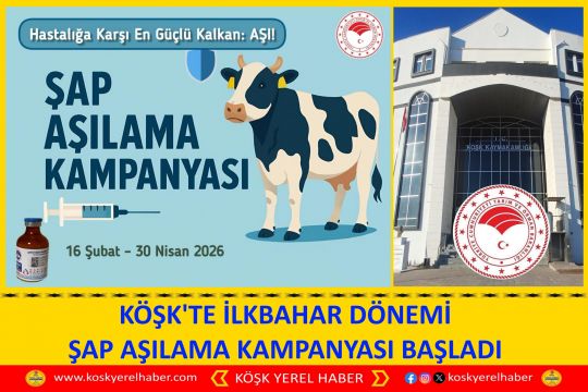 KÖŞK'TE İLKBAHAR DÖNEMİ ŞAP AŞILAMA KAMPANYASI BAŞLADI