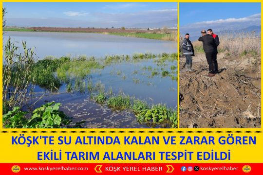 KÖŞK'TE SU ALTINDA KALAN VE ZARAR GÖREN EKİLİ TARIM ALANLARI TESPİT EDİLDİ