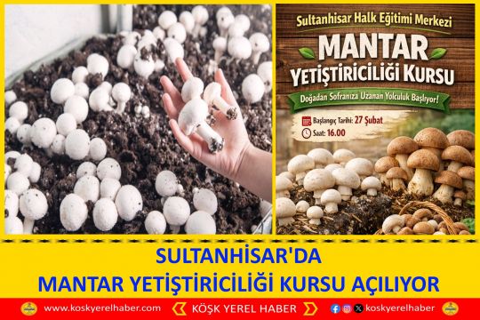 SULTANHİSAR'DA MANTAR YETİŞTİRİCİLİĞİ KURSU AÇILIYOR