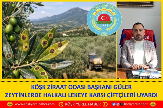 KÖŞK ZİRAAT ODASI BAŞKANI GÜLER ZEYTİNLERDE HALKALI LEKEYE KARŞI ÇİFTÇİLERİ UYARDI