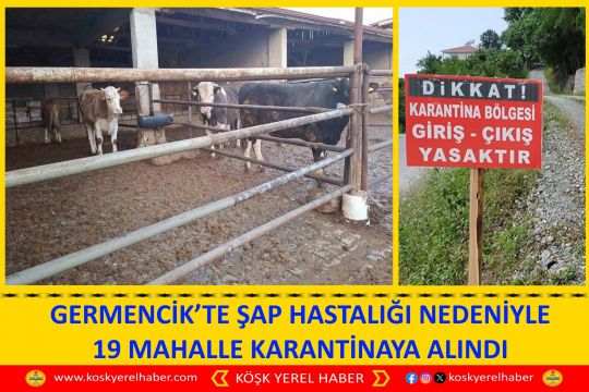 GERMENCİK’TE ŞAP HASTALIĞI NEDENİYLE 19 MAHALLE KARANTİNAYA ALINDI
