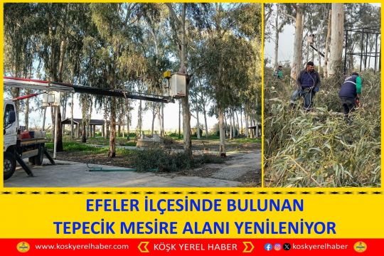 EFELER İLÇESİNDE BULUNAN TEPECİK MESİRE ALANI YENİLENİYOR