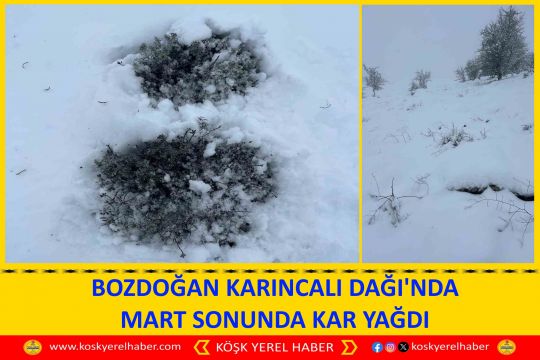 BOZDOĞAN KARINCALI DAĞI'NDA MART SONUNDA KAR YAĞDI