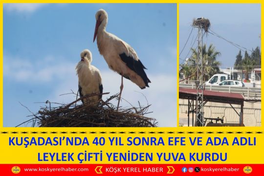 KUŞADASI’NDA 40 YIL SONRA  EFE VE ADA ADLI LEYLEK ÇİFTİ YENİDEN YUVA KURDU