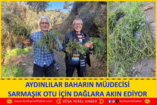 AYDINLILAR BAHARIN MÜJDECİSİ SARMAŞIK OTU İÇİN DAĞLARA AKIN EDİYOR