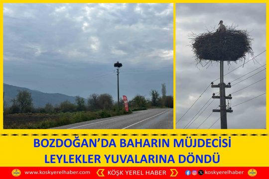 BOZDOĞAN’DA BAHARIN MÜJDECİSİ LEYLEKLER YUVALARINA DÖNDÜ