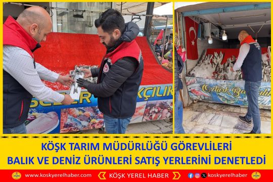 KÖŞK TARIM MÜDÜRLÜĞÜ GÖREVLİLERİ BALIK VE DENİZ ÜRÜNLERİ SATIŞ YERLERİNİ DENETLEDİ
