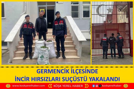 GERMENCİK İLÇESİNDE İNCİR HIRSIZLARI SUÇÜSTÜ YAKALANDI