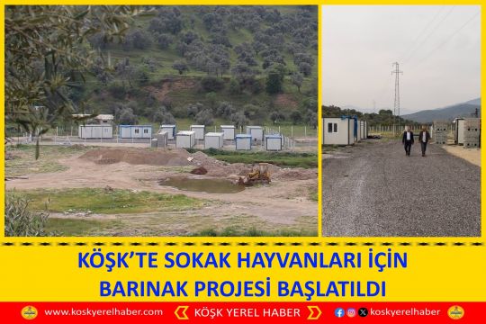 KÖŞK’TE SOKAK HAYVANLARI İÇİN BARINAK PROJESİ BAŞLATILDI