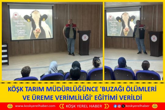 KÖŞK TARIM MÜDÜRLÜĞÜNCE 'BUZAĞI ÖLÜMLERİ VE ÜREME VERİMLİLİĞİ' EĞİTİMİ VERİLDİ
