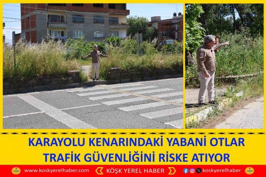 KARAYOLU KENARINDAKİ YABANİ OTLAR TRAFİK GÜVENLİĞİNİ RİSKE ATIYOR