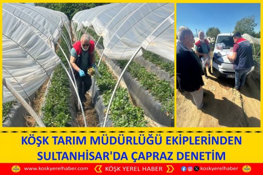 KÖŞK TARIM MÜDÜRLÜĞÜ EKİPLERİNDEN SULTANHİSAR'DA ÇAPRAZ DENETİM