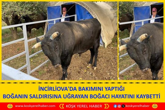 İNCİRLİOVA'DA BAKIMINI YAPTIĞI BOĞANIN SALDIRISINA UĞRAYAN BOĞACI HAYATINI KAYBETTİ