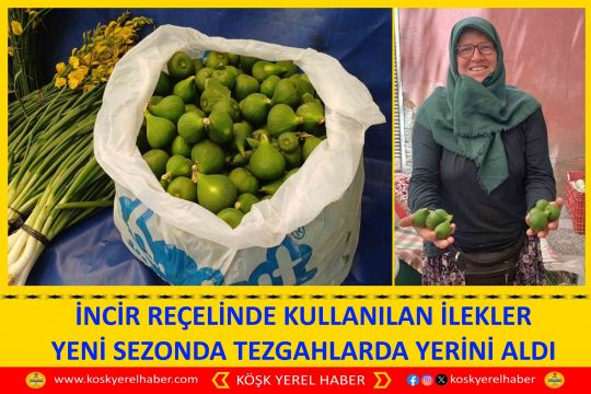 İNCİR REÇELİNDE KULLANILAN İLEKLER YENİ SEZONDA TEZGAHLARDA YERİNİ ALDI