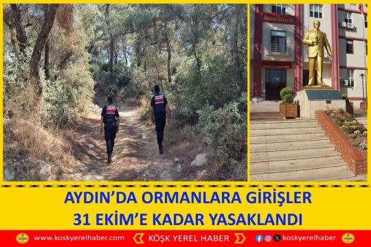 AYDIN’DA ORMANLARA GİRİŞLER 31 EKİM’E KADAR YASAKLANDI