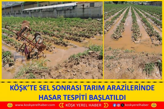 KÖŞK’TE SEL SONRASI TARIM ARAZİLERİNDE HASAR TESPİTİ BAŞLATILDI