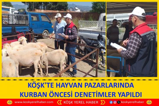 KÖŞK'TE HAYVAN PAZARLARINDA KURBAN ÖNCESİ DENETİMLER YAPILDI