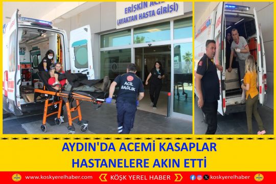 AYDIN'DA ACEMİ KASAPLAR HASTANELERE AKIN ETTİ