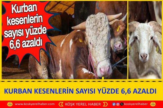 KURBAN KESENLERİN SAYISI YÜZDE 6,6 AZALDI