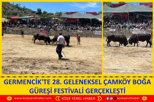 GERMENCİK'TE 28. GELENEKSEL ÇAMKÖY BOĞA GÜREŞİ FESTİVALİ GERÇEKLEŞTİ
