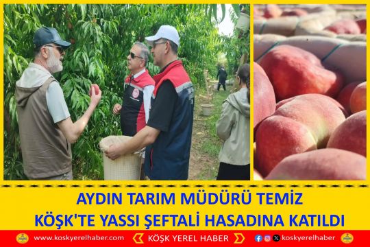 AYDIN TARIM MÜDÜRÜ TEMİZ KÖŞK'TE YASSI ŞEFTALİ HASADINA KATILDI