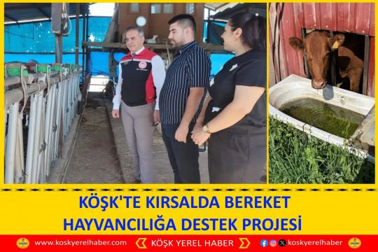 KÖŞK'TE KIRSALDA BEREKET HAYVANCILIĞA DESTEK PROJESİ 