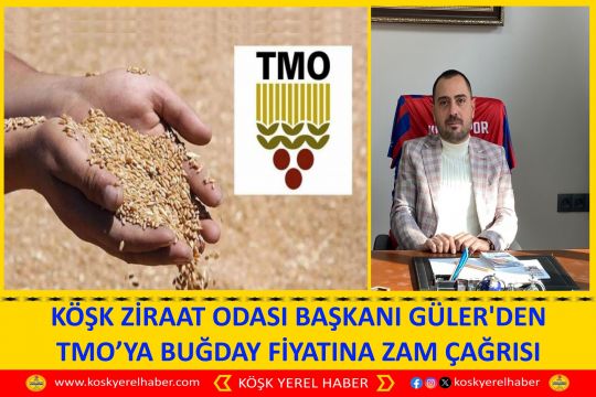 KÖŞK ZİRAAT ODASI BAŞKANI GÜLER'DEN TMO’YA BUĞDAY FİYATINA ZAM ÇAĞRISI