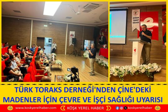 TÜRK TORAKS DERNEĞİ'NDEN ÇİNE'DEKİ MADENLER İÇİN ÇEVRE VE İŞÇİ SAĞLIĞI UYARISI