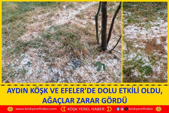 AYDIN KÖŞK VE EFELER’DE DOLU ETKİLİ OLDU, AĞAÇLAR ZARAR GÖRDÜ