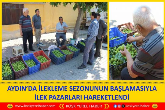 AYDIN’DA İLEKLEME SEZONUNUN BAŞLAMASIYLA İLEK PAZARLARI HAREKETLENDİ