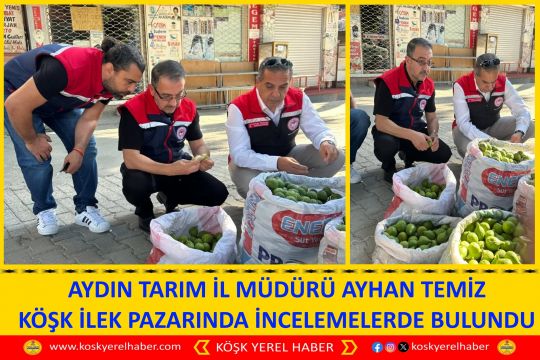 AYDIN TARIM İL MÜDÜRÜ AYHAN TEMİZ KÖŞK İLEK PAZARINDA İNCELEMELERDE BULUNDU