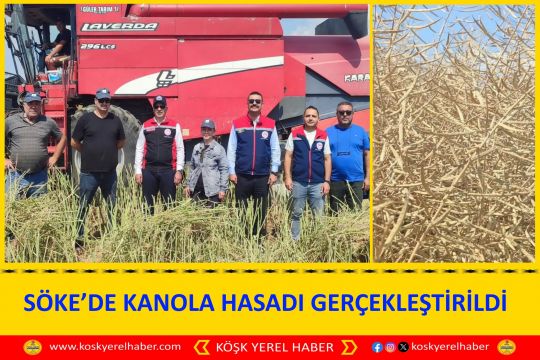 SÖKE’DE KANOLA HASADI GERÇEKLEŞTİRİLDİ