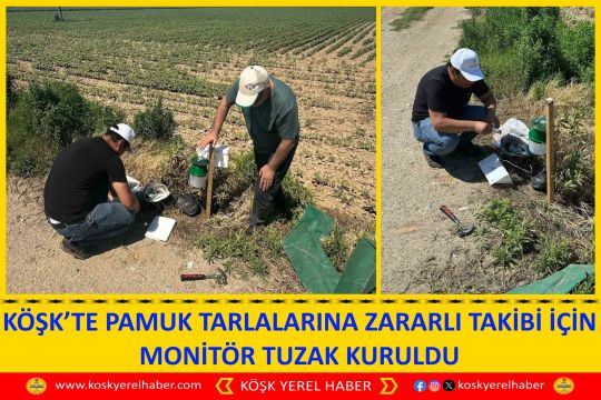 KÖŞK’TE PAMUK TARLALARINA ZARARLI TAKİBİ İÇİN MONİTÖR TUZAK KURULDU