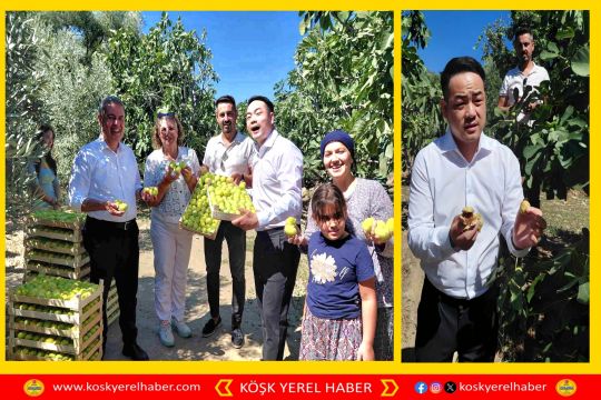 ÇİNLİ FENOMEN ÇİFT AYDIN İNCİRİNE HAYRAN KALDI