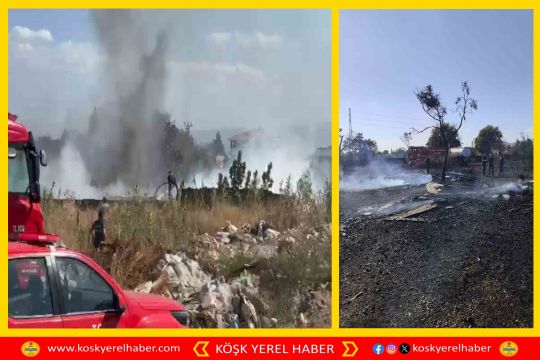 EFELER'DE ZEYTİNLİK ALANDA ÇIKAN YANGIN KONTROL ALTINA ALINDI