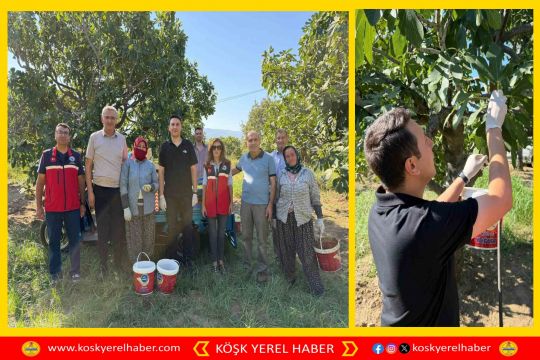 BUHARKENT KAYMAKAMI HAYDAROĞLU FESLEK'TE İNCİR ÜRETİCİLERİYLE BULUŞTU
