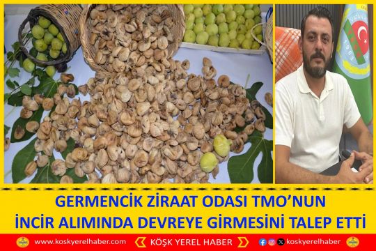 GERMENCİK ZİRAAT ODASI TMO’NUN İNCİR ALIMINDA DEVREYE GİRMESİNİ TALEP ETTİ