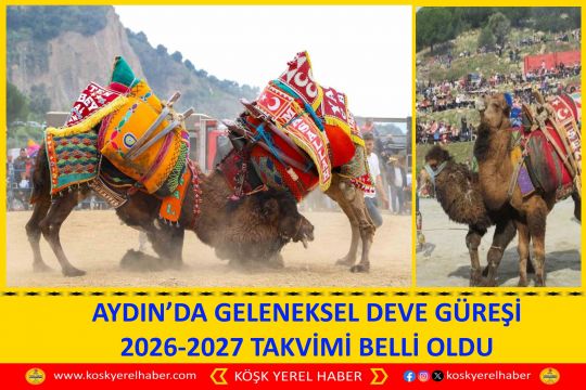 AYDIN’DA GELENEKSEL DEVE GÜREŞİ 2026-2027 TAKVİMİ BELLİ OLDU