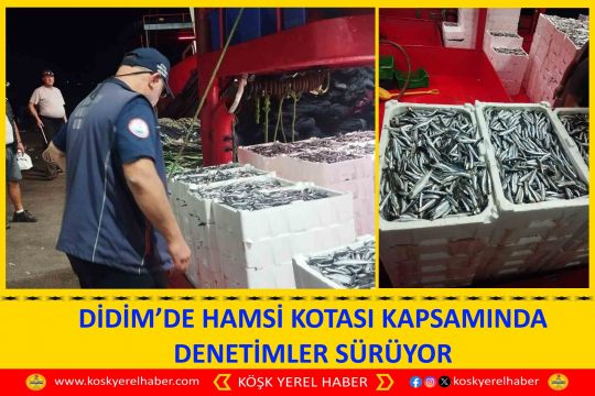DİDİM’DE HAMSİ KOTASI KAPSAMINDA DENETİMLER SÜRÜYOR