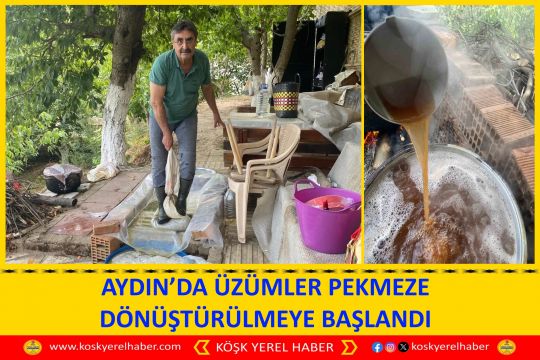 AYDIN’DA ÜZÜMLER PEKMEZE DÖNÜŞTÜRÜLMEYE BAŞLANDI