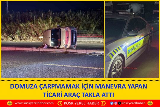 DOMUZA ÇARPMAMAK İÇİN MANEVRA YAPAN TİCARİ ARAÇ TAKLA ATTI