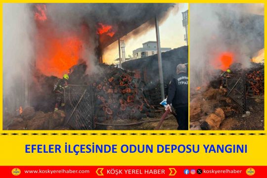 EFELER İLÇESİNDE ODUN DEPOSU YANGINI