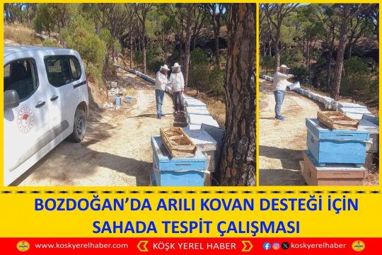 BOZDOĞAN’DA ARILI KOVAN DESTEĞİ İÇİN SAHADA TESPİT ÇALIŞMASI