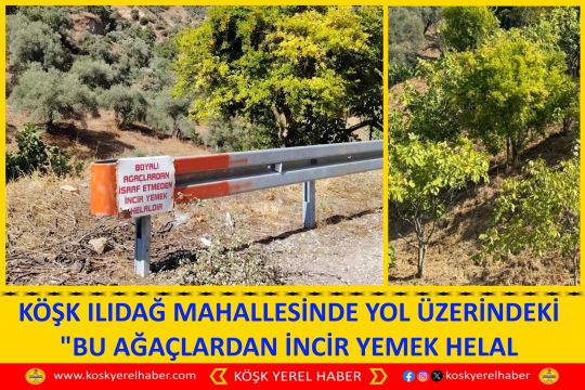 KÖŞK ILIDAĞ MAHALLESİNDE YOL ÜZERİNDEKİ BU AĞAÇLARDAN İNCİR YEMEK HELAL