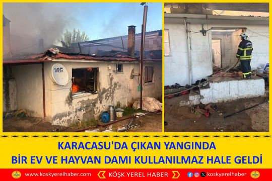 KARACASU'DA ÇIKAN YANGINDA BİR EV VE HAYVAN DAMI KULLANILMAZ HALE GELDİ