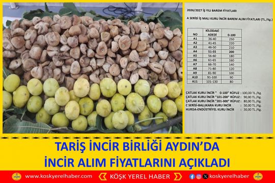 TARİŞ İNCİR BİRLİĞİ AYDIN’DA İNCİR ALIM FİYATLARINI AÇIKLADI