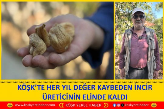 KÖŞK’TE HER YIL DEĞER KAYBEDEN İNCİR ÜRETİCİNİN ELİNDE KALDI