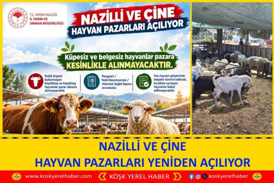 NAZİLLİ VE ÇİNE HAYVAN PAZARLARI YENİDEN AÇILIYOR
